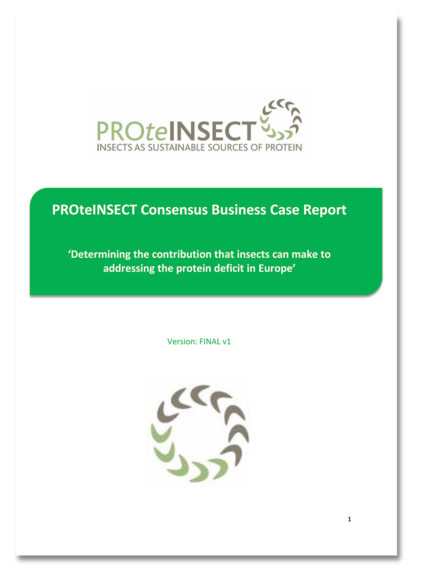 Business Case - ProteInsect