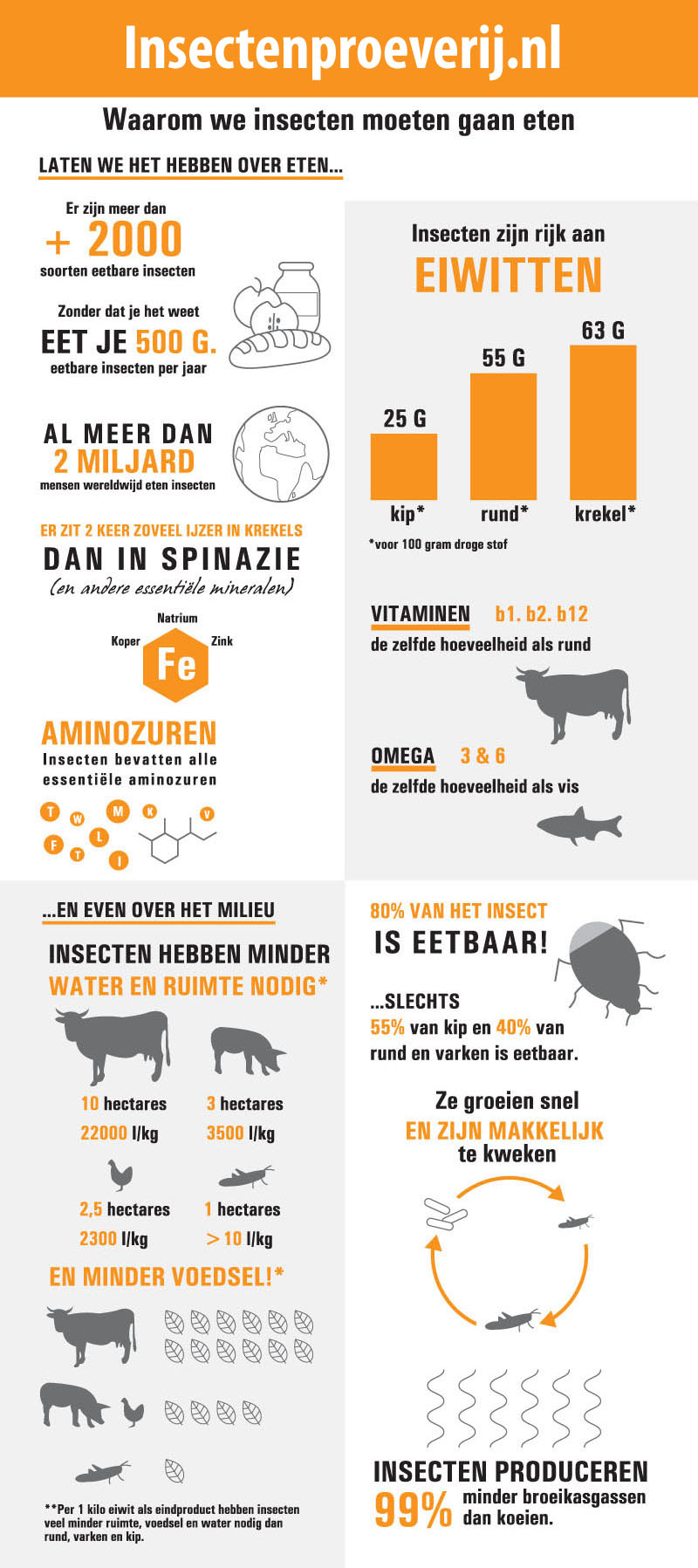 Infographic - Insecten eten
