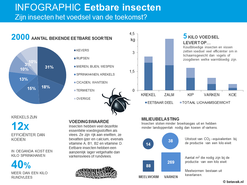 Infographic - Eetbare insecten